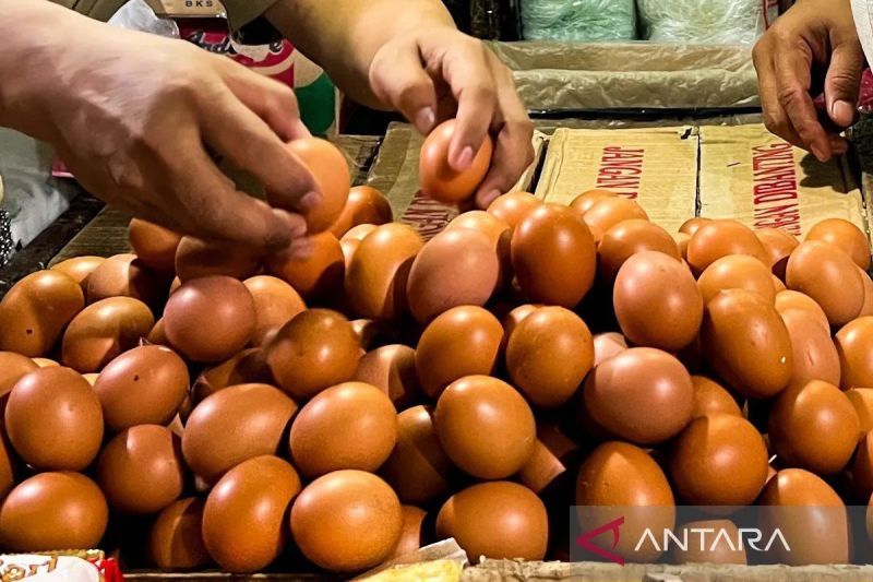 Mencuci Telur Sebelum Masak? Ini Penjelasannya yang Mengejutkan!