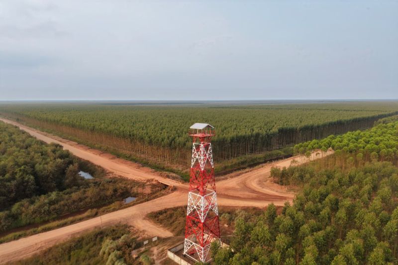 Pemeriksaan Karhutla 24 Jam di Musi Banyuasin: Menara Api 32 Meter Siap Tanggap