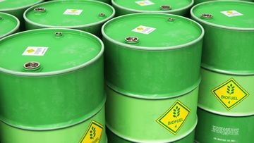 GAPKI Usul Kebijakan Biofuel Fleksibel: Sawit Bisa Dialihkan ke Ekspor