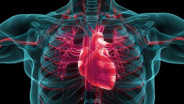 Resmi Jadi Harapan: Kenal LVAD, Alat Pelacak Gagal Jantung