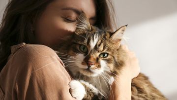 12 Tanda Kucing Menyayangi Pemiliknya, Apakah Anda Termasuk?