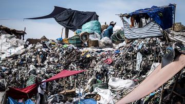 PSEL Bogor: Solusi Sampah atau Hanya Janji? Tinjauan Greenpeace