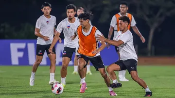 Timnas Filipina Naik Angkot Bandung, Persiapan Menuju FIFA ASEAN Cup