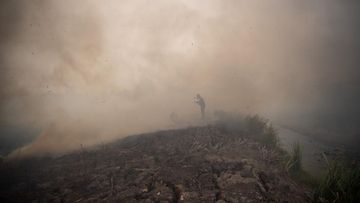 BNPB: 96 Hektare Lahan Masih Terbakar di 6 Provinsi, Ini Detailnya